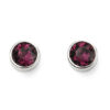 February Stud Earrings