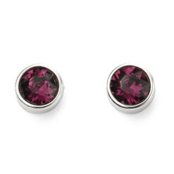 February Stud Earrings