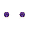 February Birthstone - 9ct Gold stud earrings