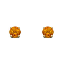 November Birthstone - 9ct Gold stud earrings