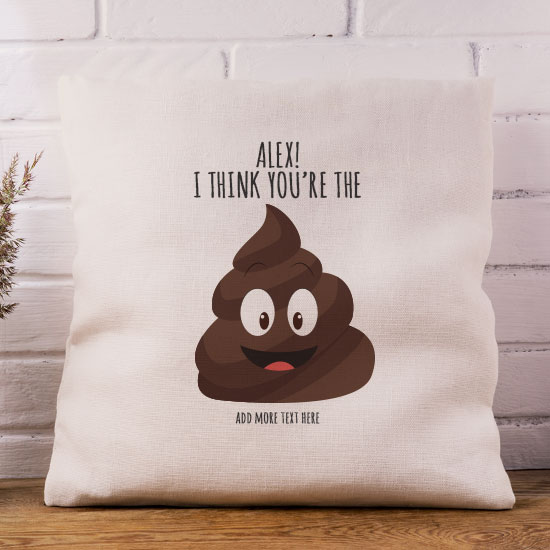 I Think You're The Shit Cushion