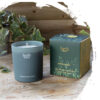 Herb Buttercup & Bee Balm Candle in Gift Box