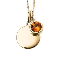 November Gold Plated Birthstone and Engravable Disc Necklace