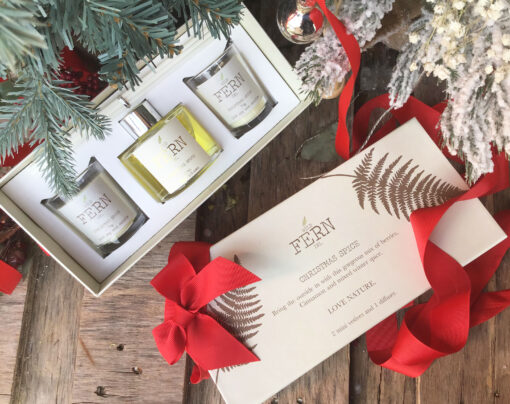 Herb Dublin Wild Fern Christmas Spice Diffuser & Mini Votive Set